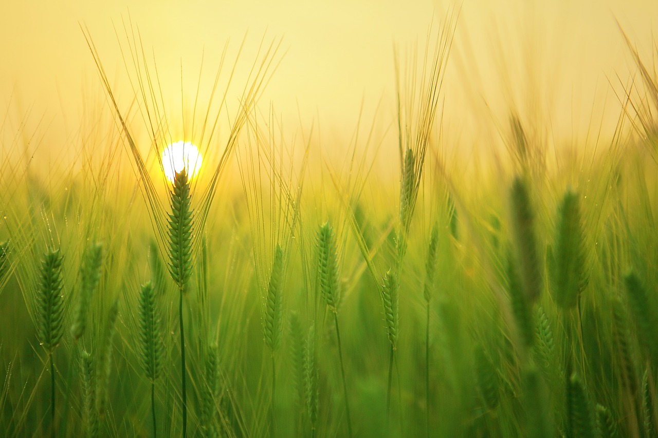 Azzecca la prevenzione e vivi la natura